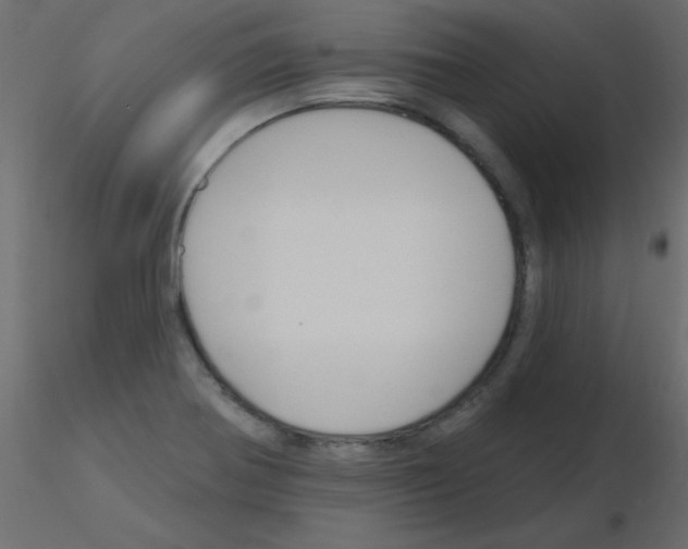 X0000115831370200912241947