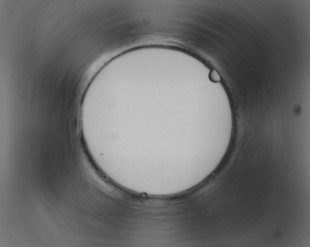 X0000115831371200912241947