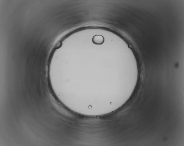 X0000115831372200912241947