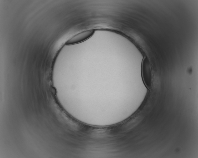 X0000115831373200912241947