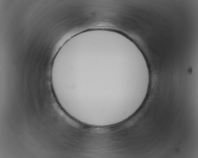 X0000115831374200912241947