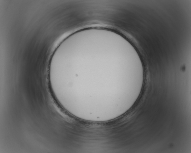 X0000115831375200912241947