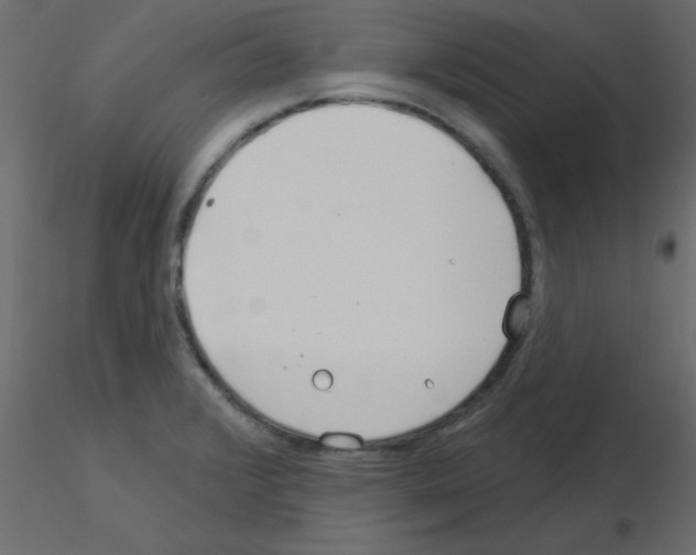 X0000115831376200912241947