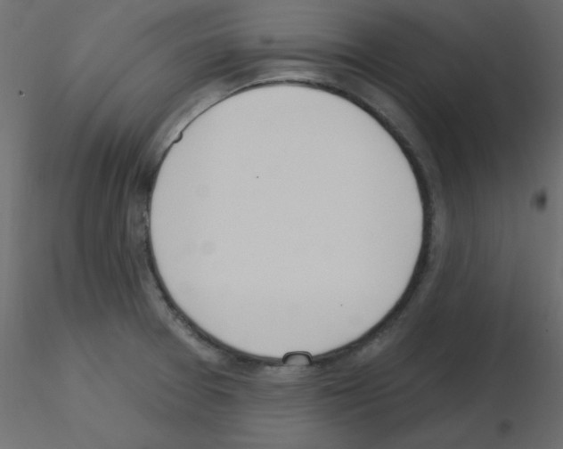 X0000115831377200912241947