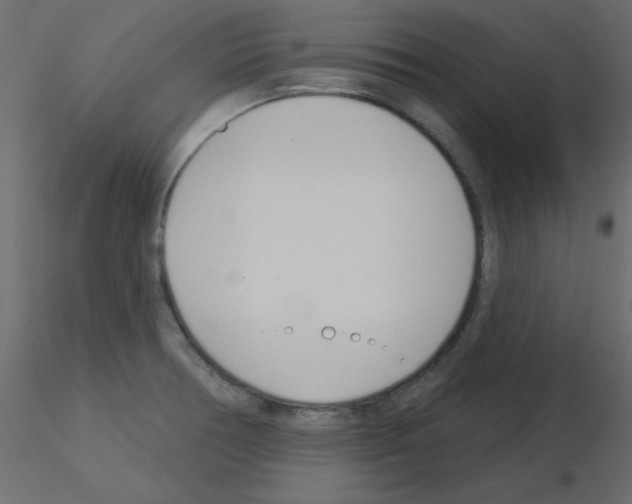 X0000115831378200912241947