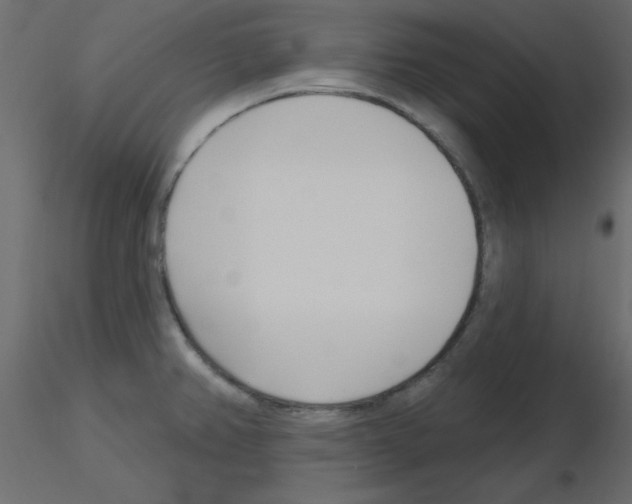 X0000115831382200912241947