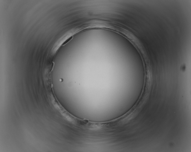 X0000115831385200912241947