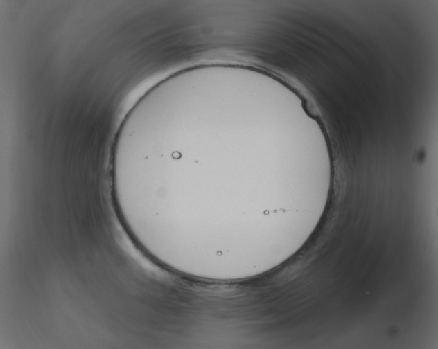 X0000115831387200912241947