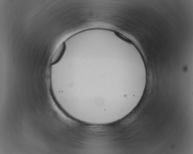 X0000115831391200912241947