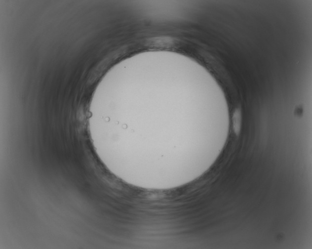 X0000115831395200912241946