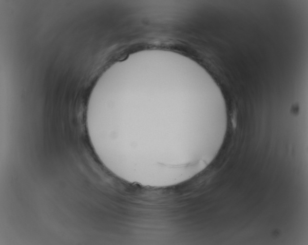 X0000115831396200912241946