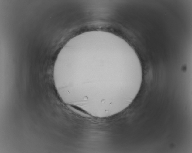 X0000115831397200912241946