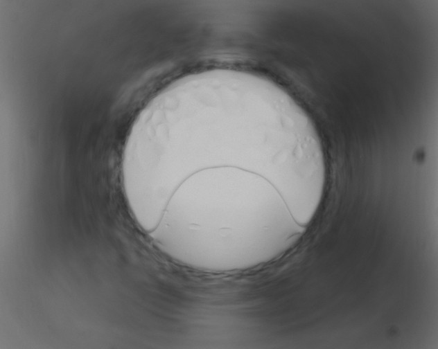 X0000115831398200912241946