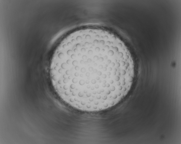 X0000115831400200912241946