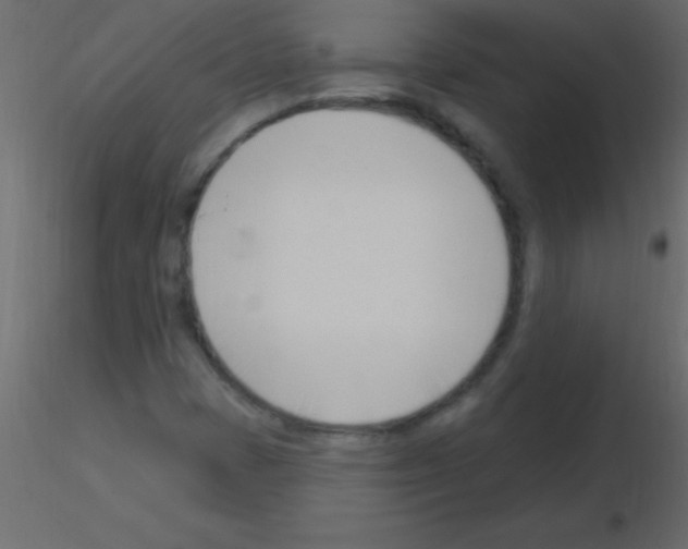 X0000115831401200912241946