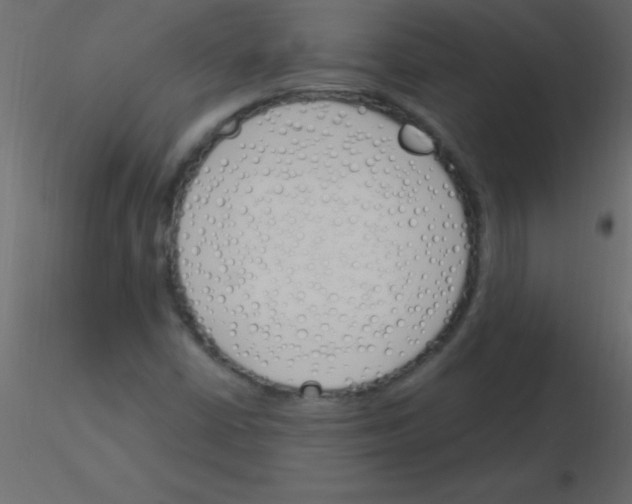 X0000115831402200912241946