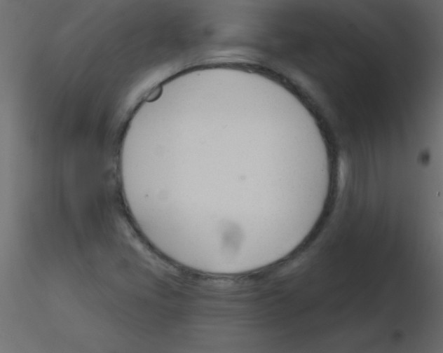 X0000115831405200912241946