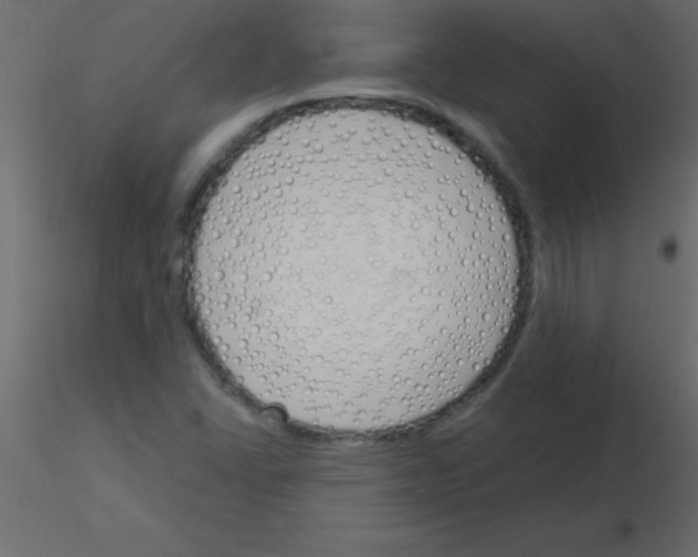 X0000115831406200912241946