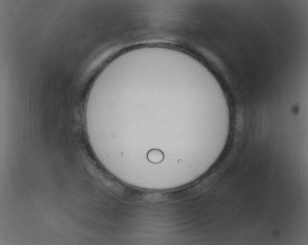 X0000115831407200912241946