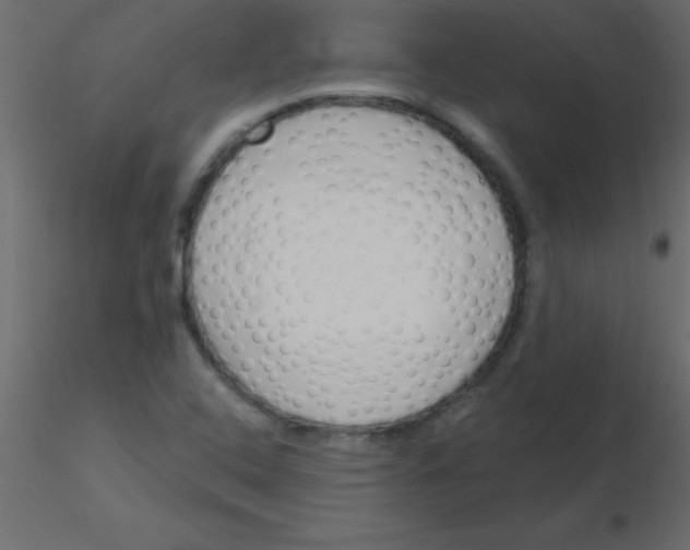 X0000115831408200912241946