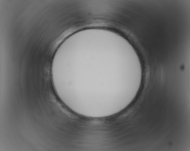 X0000115831409200912241946