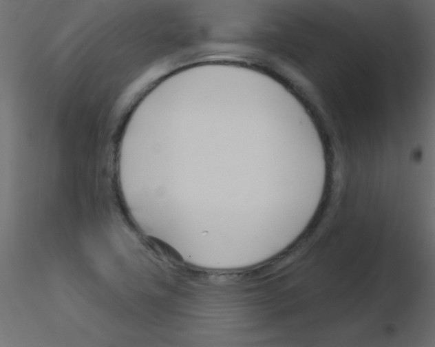 X0000115831411200912241946