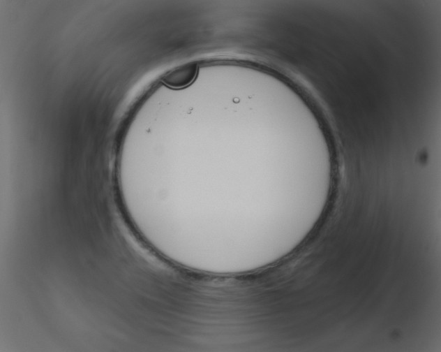 X0000115831416200912241946