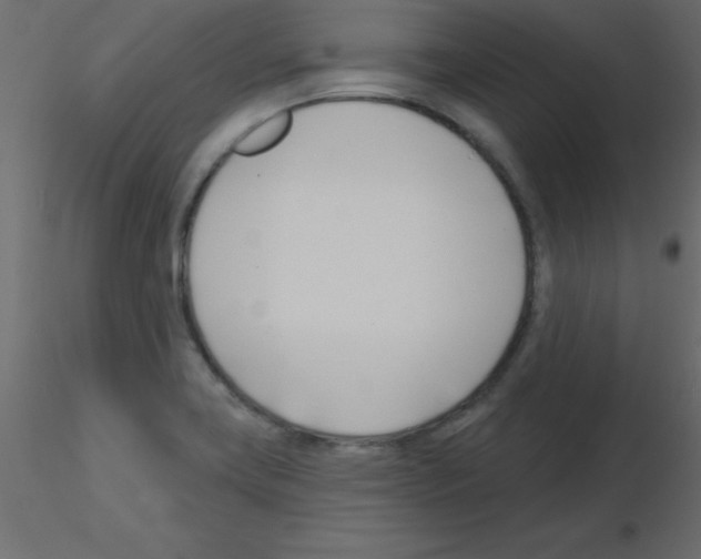 X0000115831419200912241946