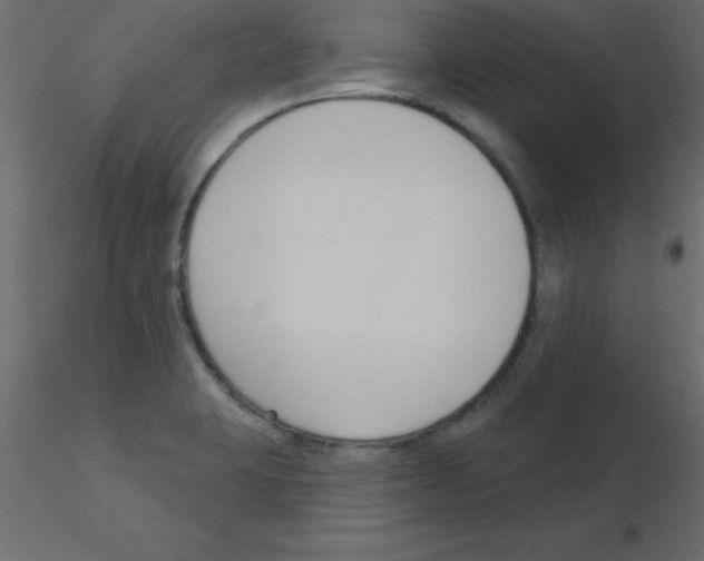 X0000115831423200912241946