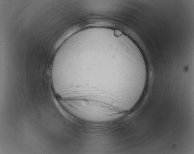 X0000115831425200912241946