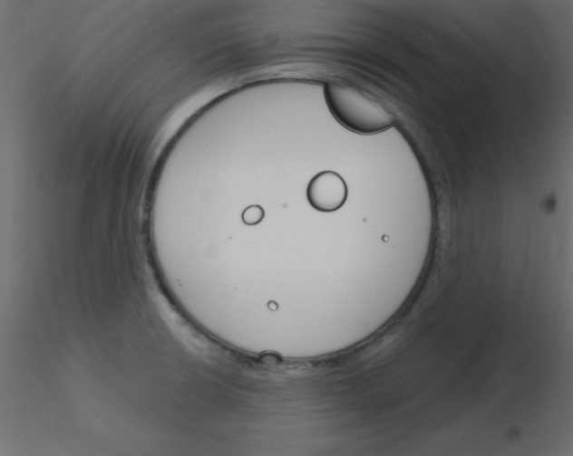 X0000115831426200912241946