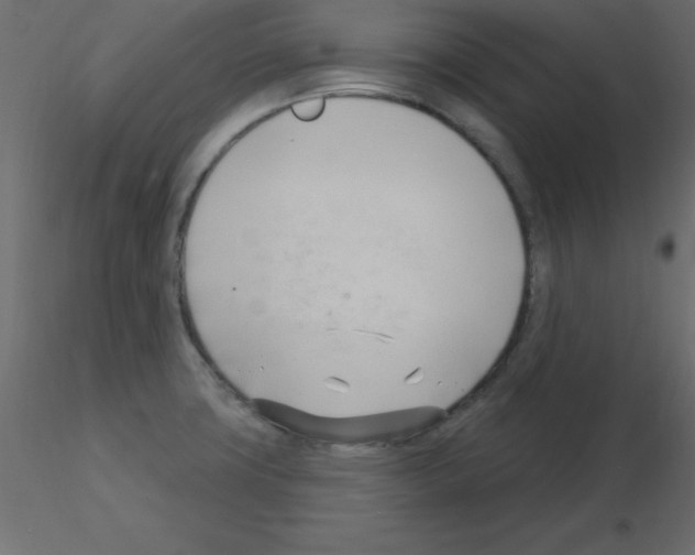 X0000115831427200912241946