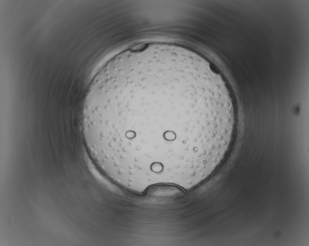 X0000115831433200912241946