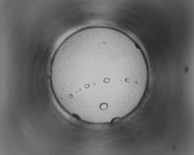 X0000115831437200912241947