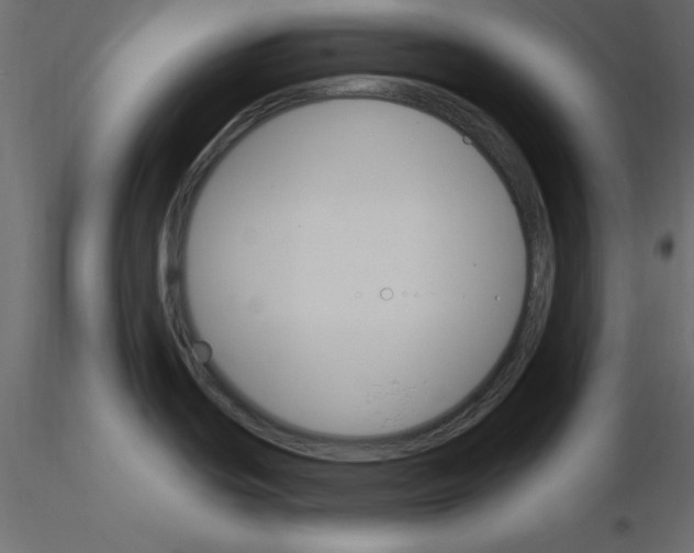 X0000115831439200912241947