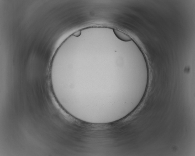 X0000115831440200912241947