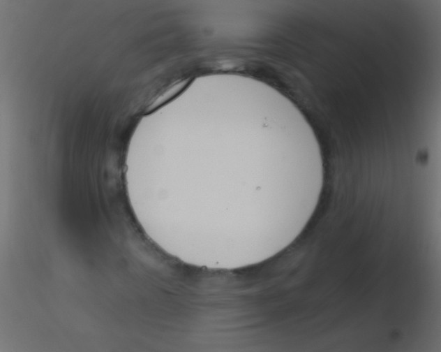 X0000115831442200912241946