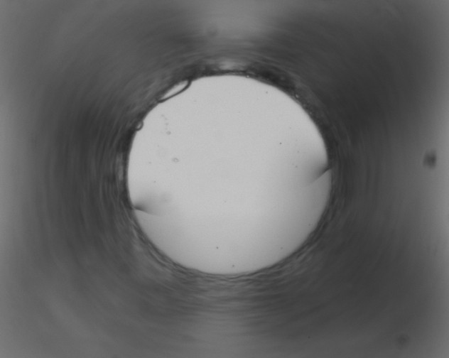 X0000115831443200912241946