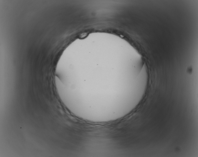 X0000115831445200912241946