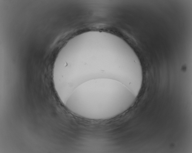 X0000115831447200912241946