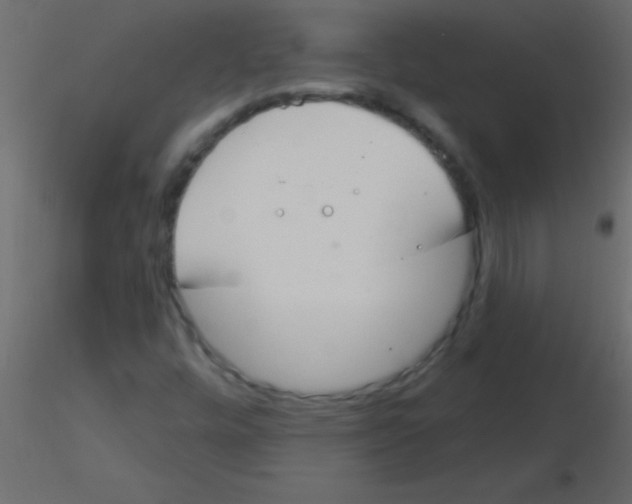 X0000115831448200912241946