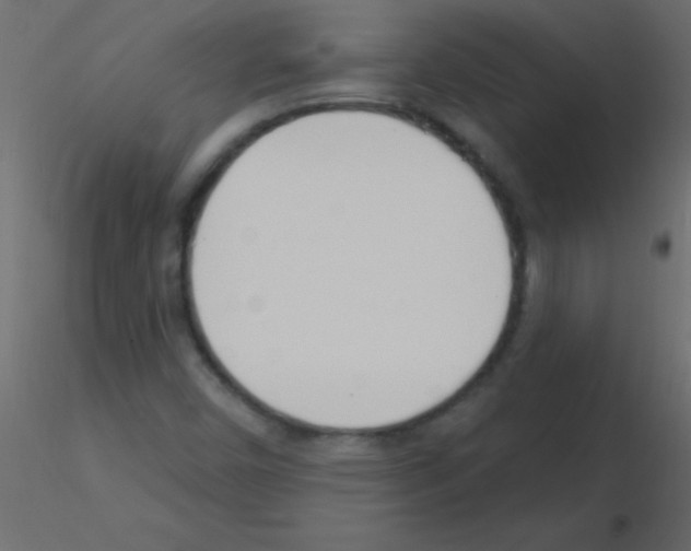 X0000115831450200912241946