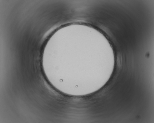 X0000115831452200912241946