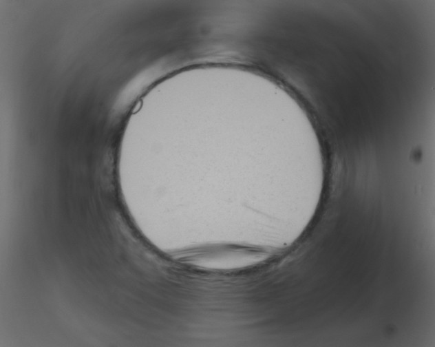 X0000115831455200912241946