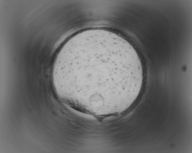 X0000115831457200912241946