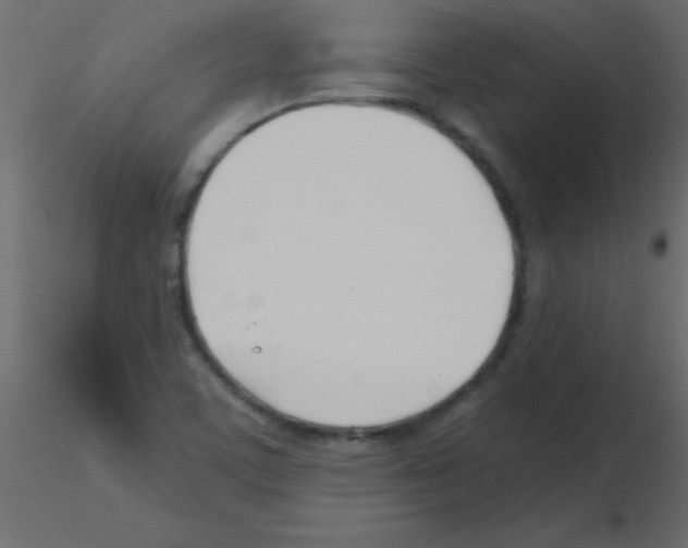 X0000115831459200912241946