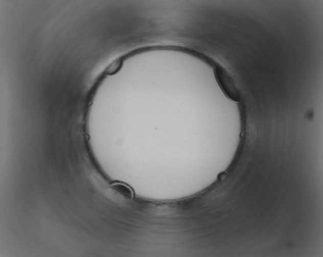 X0000115831460200912241946