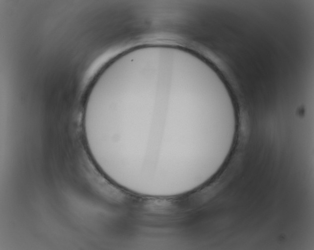 X0000115831462200912241946