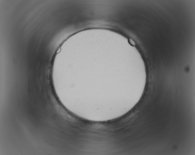 X0000115831463200912241946