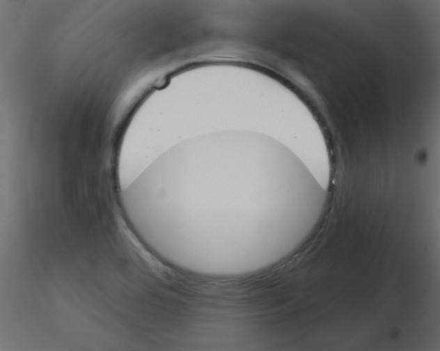 X0000115831464200912241946